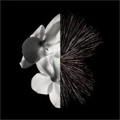 Givenchy Gentleman Eau De Parfum -Offerta economica [Givenchy] Givenchy Gentleman Givenchy Gentleman 3