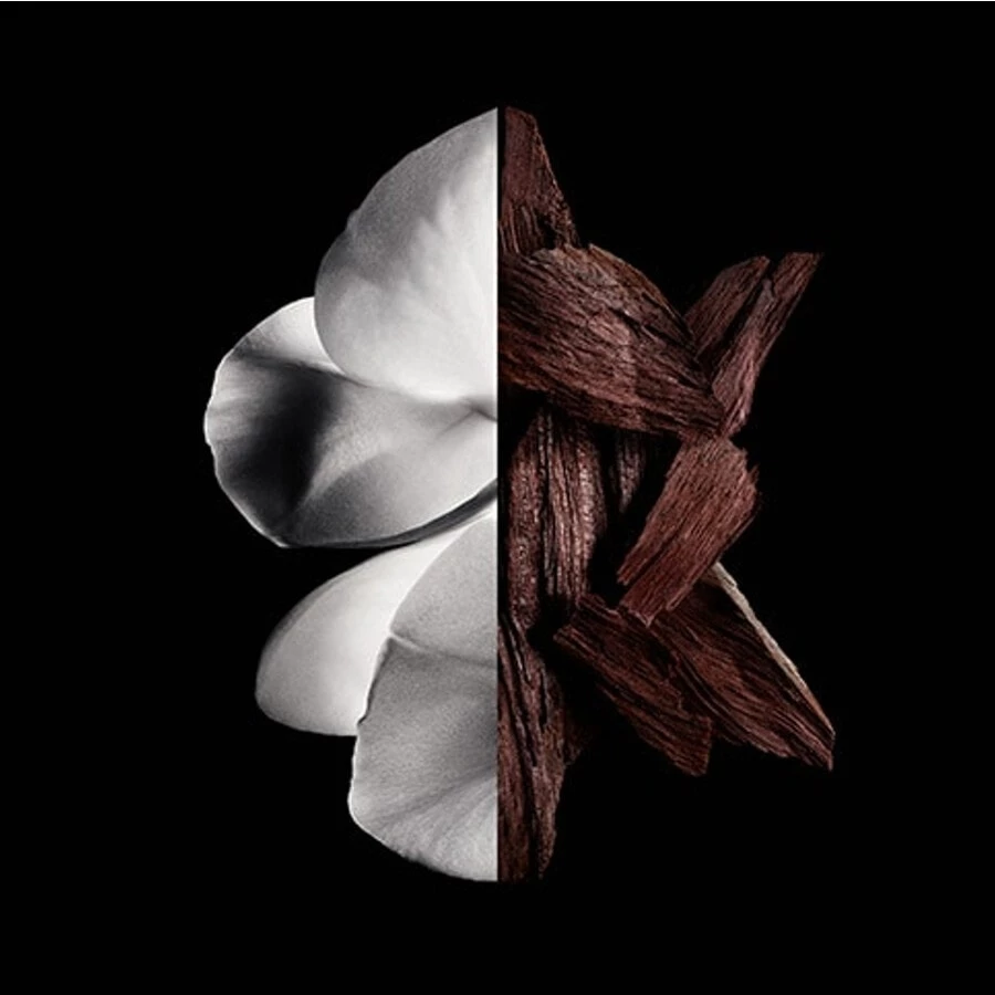 Givenchy Gentleman Boisée Eau De Parfum 3 Givenchy Gentleman Boisée Eau De Parfum - immagine 3