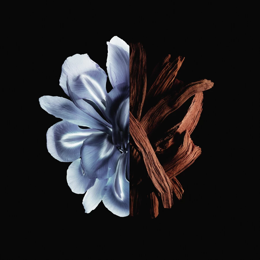 Givenchy Gentleman Reserve Privée Eau De Parfum 3 Givenchy Gentleman Reserve Privée Eau De Parfum - immagine 3